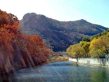 新澳天天开奖资料大全旅游团，岳阳黑帽seo